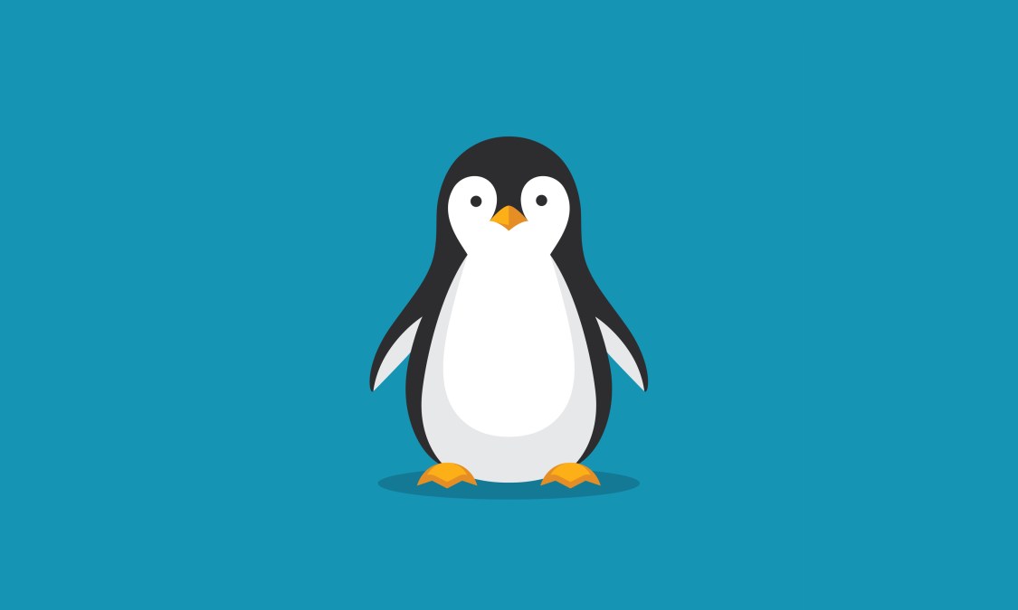 a penguin