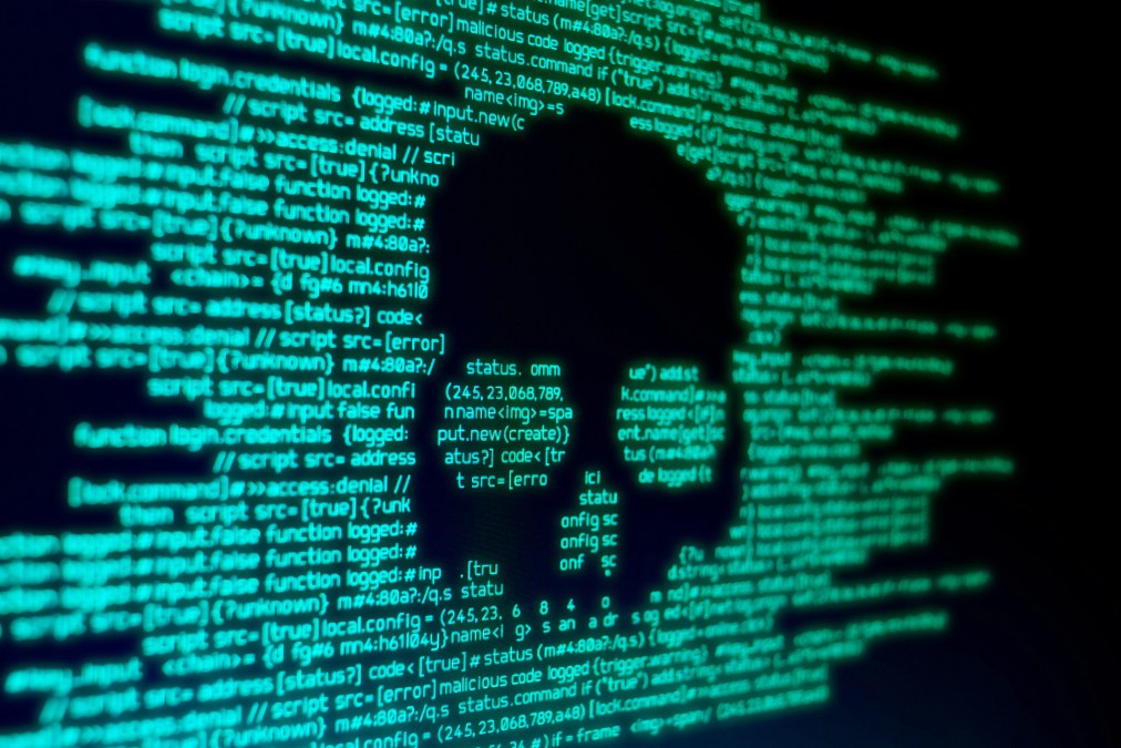 ransomware skull