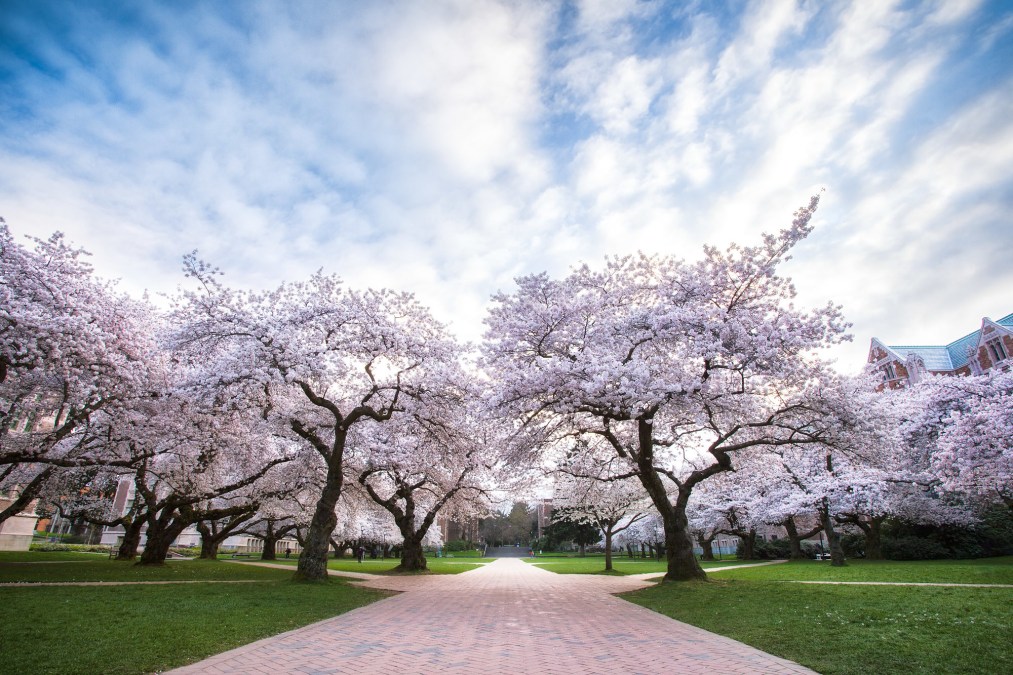 University of Washington campus