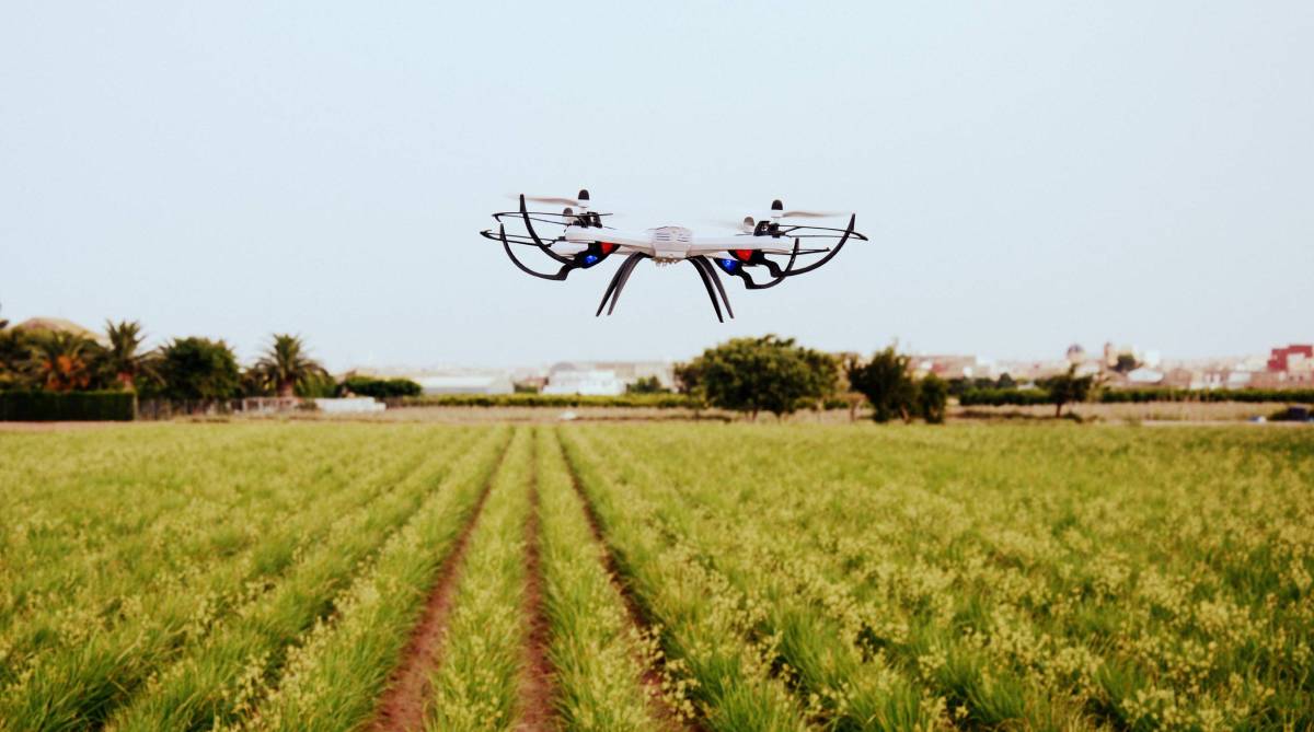 drone in a field