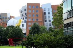 MIT campus