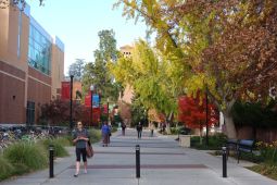 CSU Chico campus