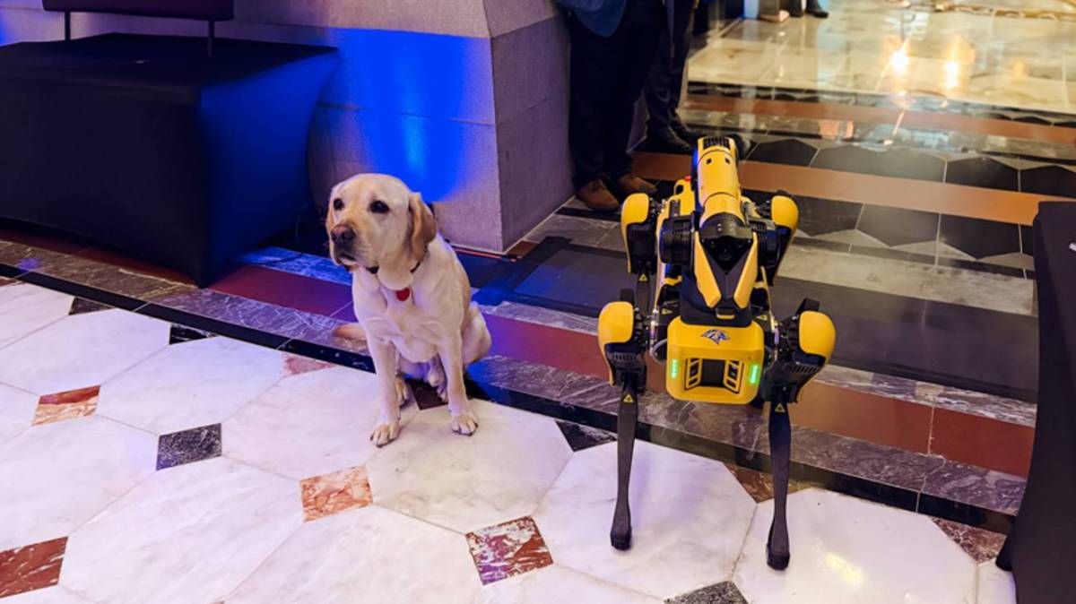 SPOT robot dog